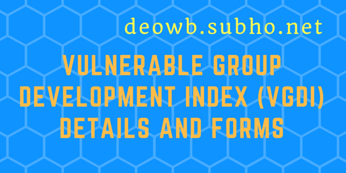 Vulnerable Group Development Index (VGDI)