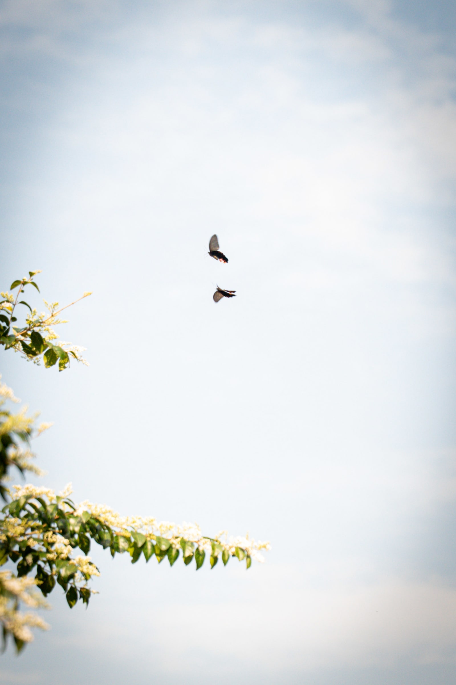 Nature & Voyage — photo 7