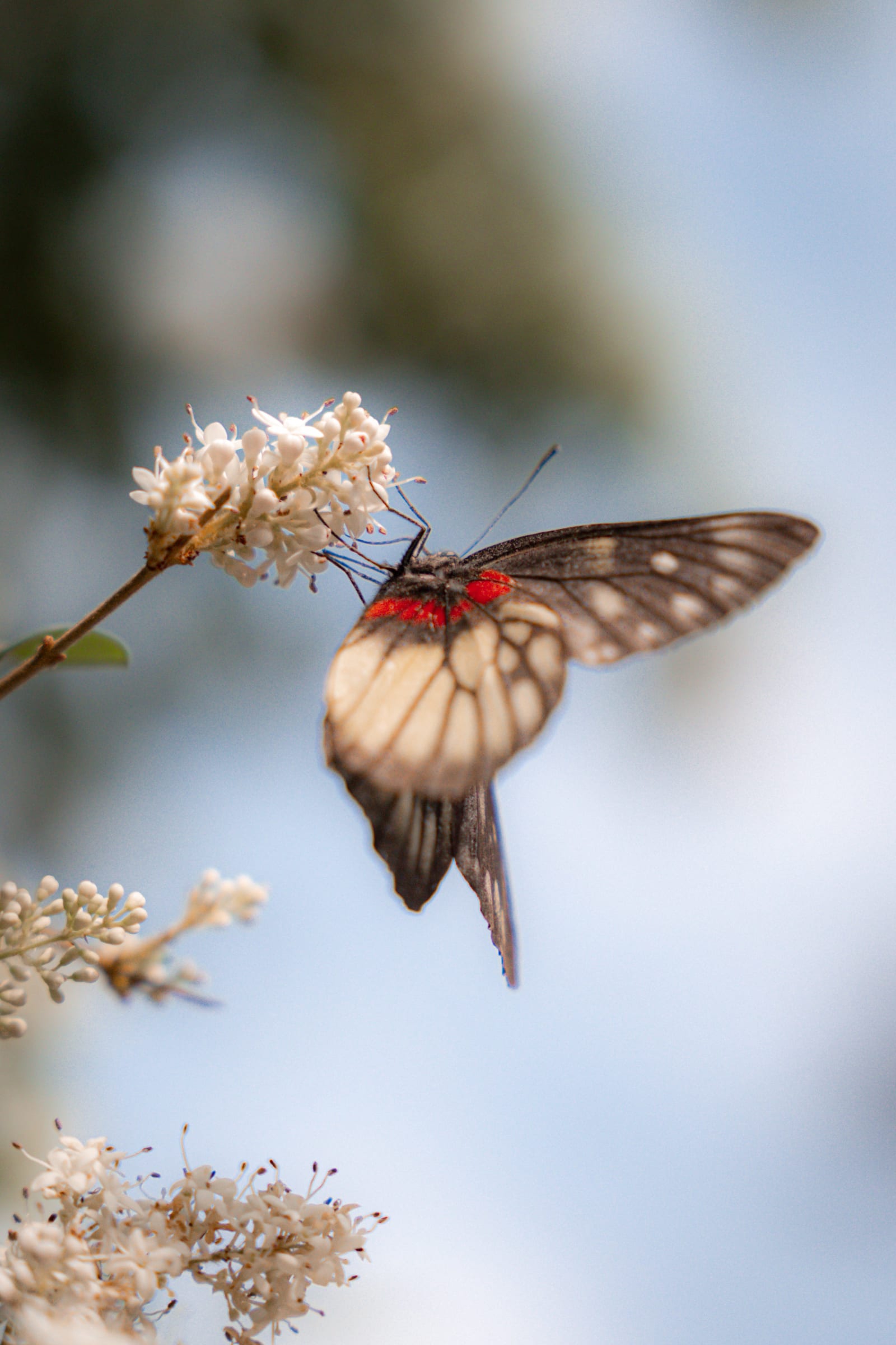 Nature & Voyage — photo 6