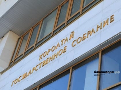 В Госсобрании Башкирии приняли законы в поддержку людей с инвалидностью