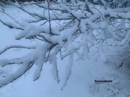 Снег и гололед ожидаются в Башкирии в ближайшие дни
