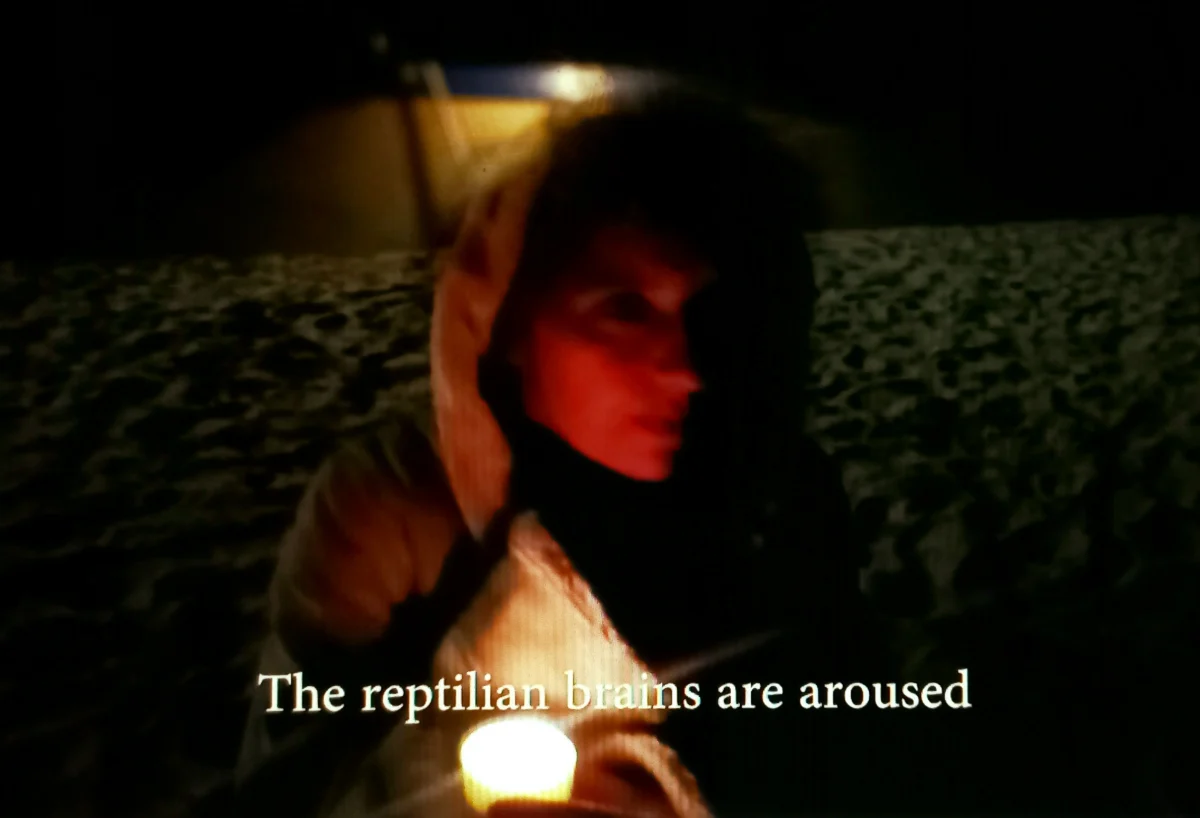 Sainte Adresse — Mike Sens, photo 2