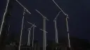 Danse Des Grues_border_2