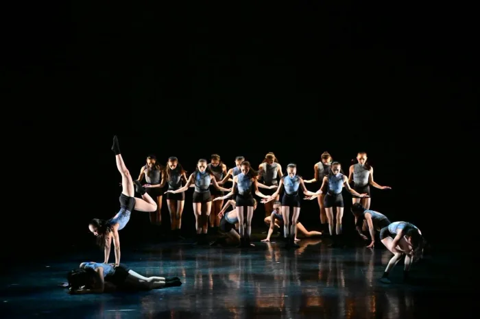 Under My Skin, Compagnie Yadre — photo 4