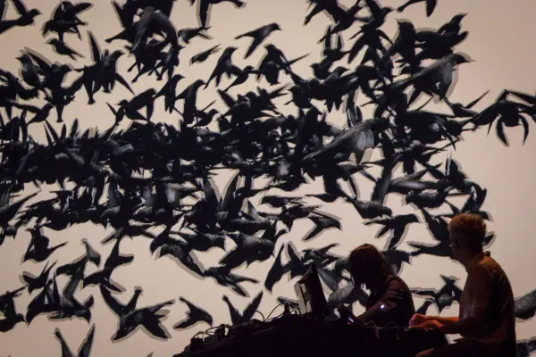 Flocs — Anne Dubos