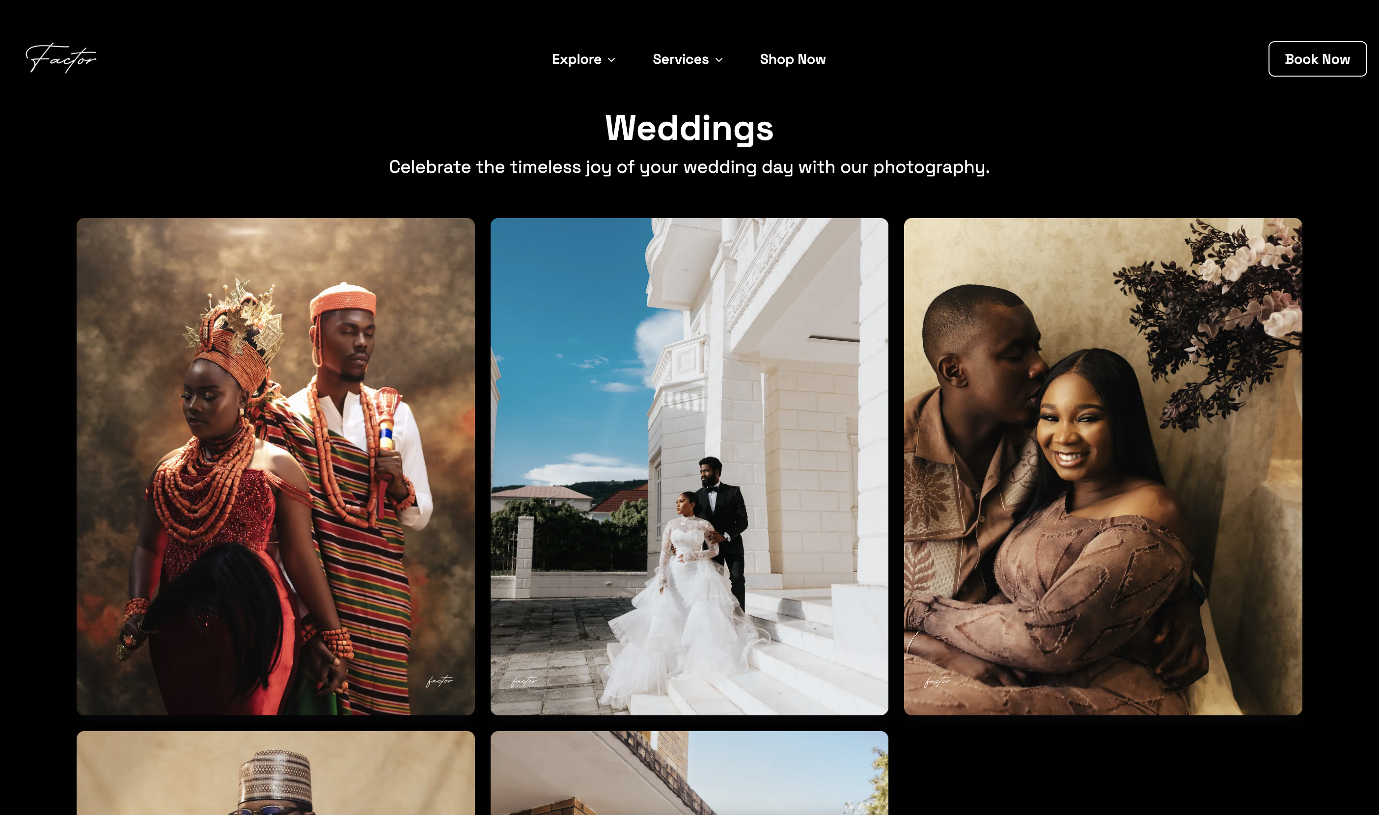 Factor IV portfolio section