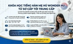 Khóa Học Tiếng Hàn Mẹ Hú Wonder Hu Từ Sơ Cấp Tới Trung Cấp