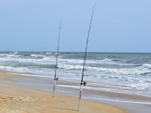 surf olta kamışları