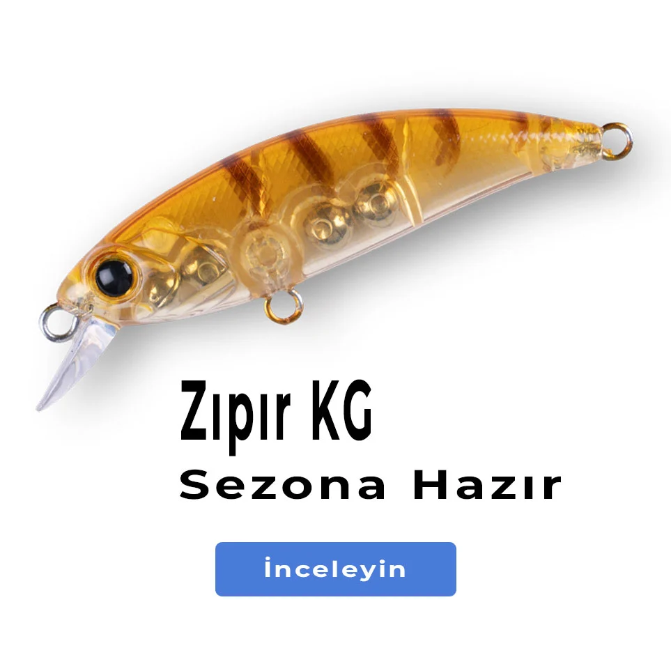 HanFish Zıpır Bal Karides