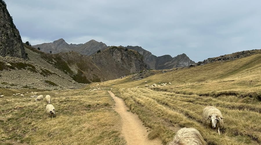 Descente depuis le col de Suzon vers Bious-Artigues