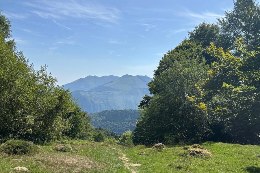 Sentier estival du Mailh Massibé qui traverse la forêt de Labaigt Dauste