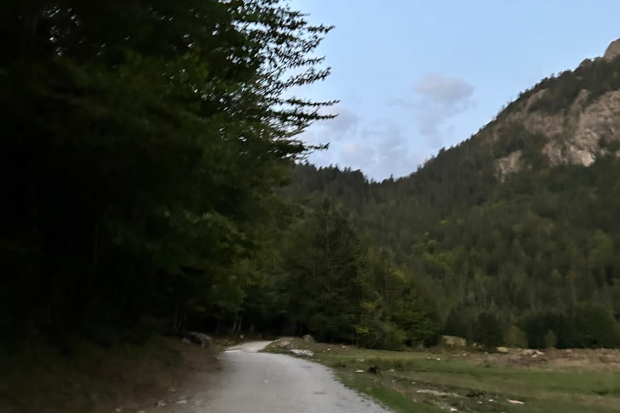 Sentier sur la route au départ, avant le lever complet du soleil