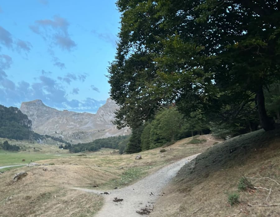 Bifurcation à droite dans le bois avant la plaine pastorale