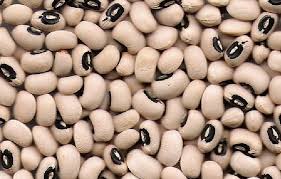 White Kidney Beans