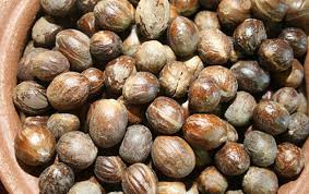 Nutmeg (Ceylon)