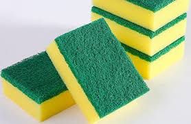 Sponge / Scouring Pad