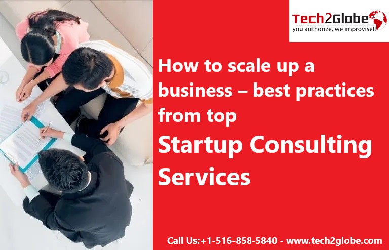 Scale Up Your Business - With Top Startup Consulting Services