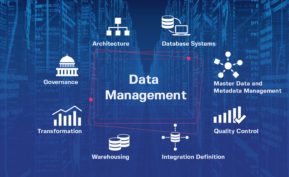 3 Must-Have Data Management Solutions That Will Ensure Your Company's Success