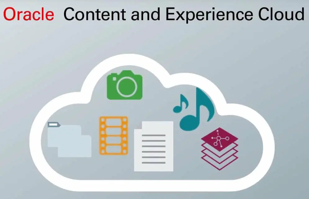 Outsourcing data management services to an expert BPO provider is the answer to solving pressing data management issues for companies and businesses.