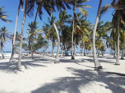 Full Day Cayo Sombrero desde Caracas Transporte + Lancha + Playa Morrocoy
