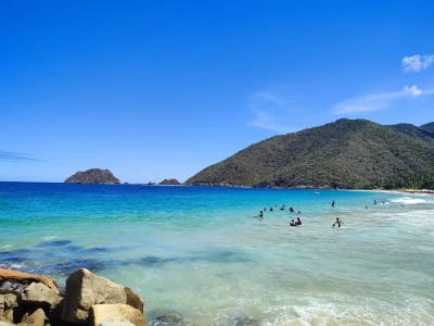 🌊 Full Day Bahía de Cata desde Caracas | Playa Caribeña + Transporte + Experiencia Local