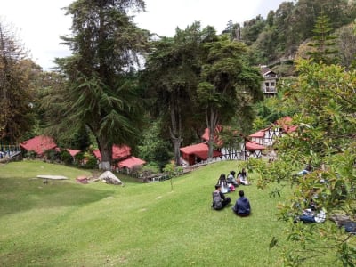 🇻🇪 Tour a Colonia Tovar | 🚐 Salida desde Caracas con ☕ Desayuno + Golfeado