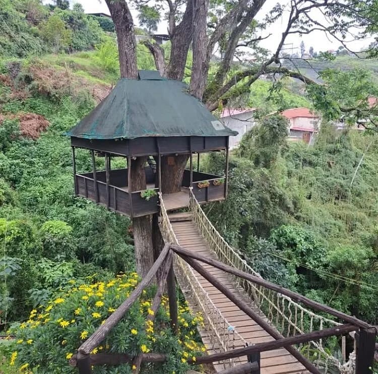 Full Day Colonia Tovar Todo Incluido Tour con Guía y Paradas Turísticas