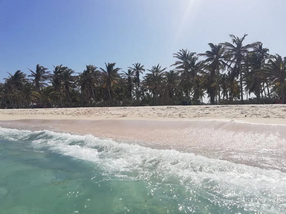 Full Day Cayo Sombrero desde Caracas Transporte + Lancha + Playa Morrocoy