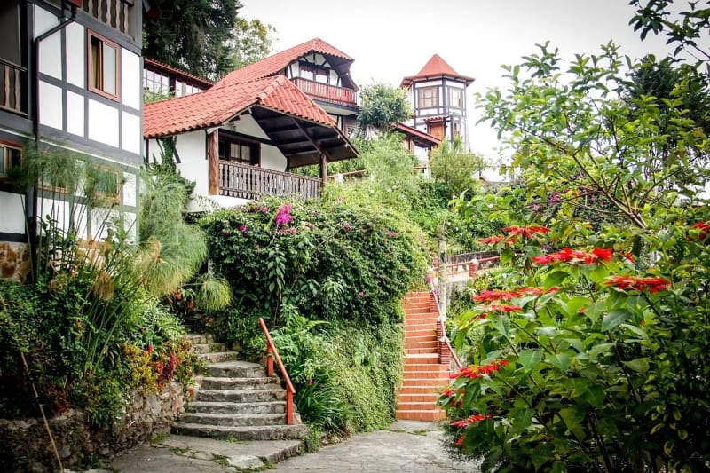Full Day Colonia Tovar Todo Incluido Tour con Guía y Paradas Turísticas