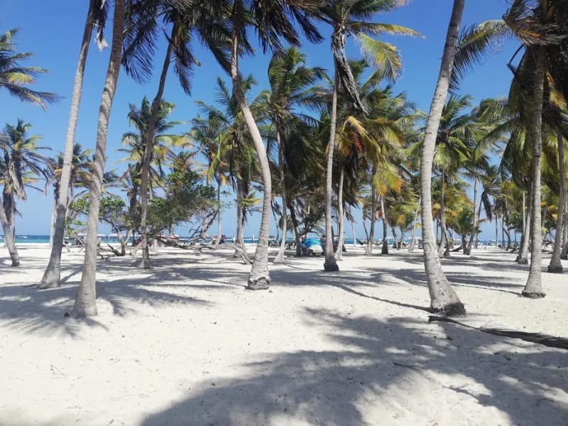 Full Day Cayo Sombrero desde Caracas Transporte + Lancha + Playa Morrocoy