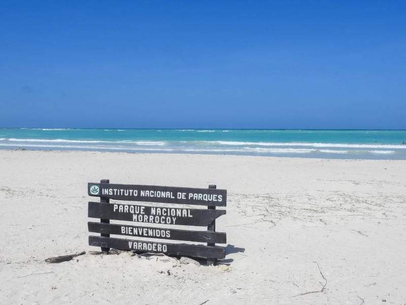 🌴 Escape a Punta Varadero Full Day desde Caracas con Lancha y Playa Tranquila