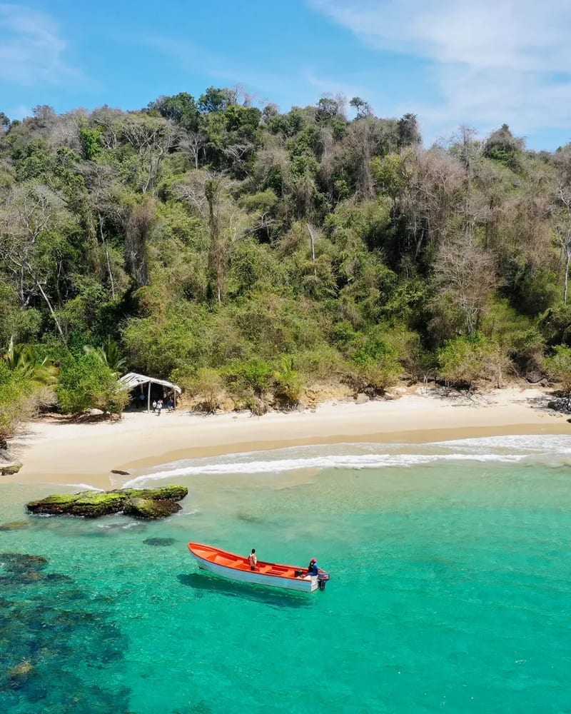 🏝️ Escapada a Chuspa 2 Días | Playas Caribeñas + Río + Hospedaje desde Caracas