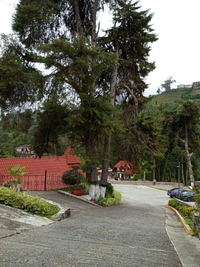 🇻🇪 Tour a Colonia Tovar | 🚐 Salida desde Caracas con ☕ Desayuno + Golfeado