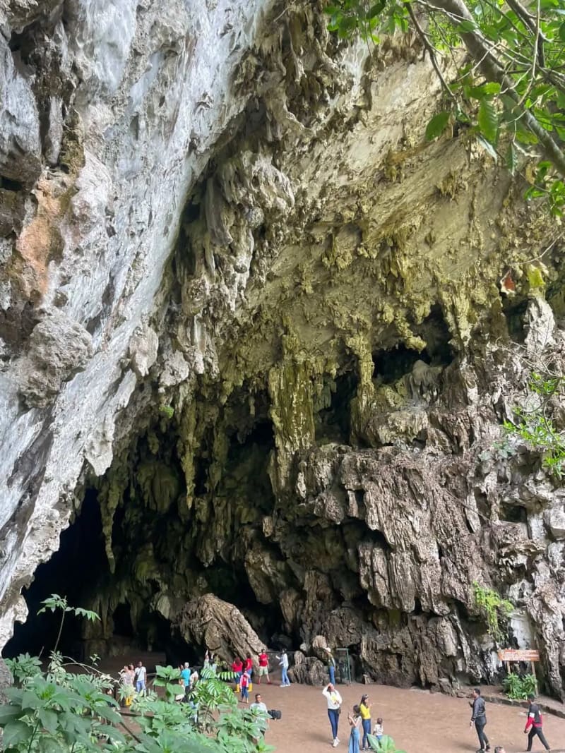 🏞️ Tour Jardín de Oriente | Cueva del Guácharo + Cascada + Hospedaje