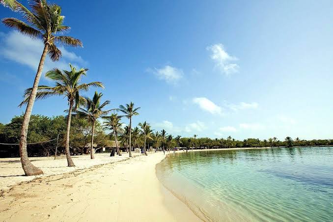 Full Day Morrocoy - Cayos