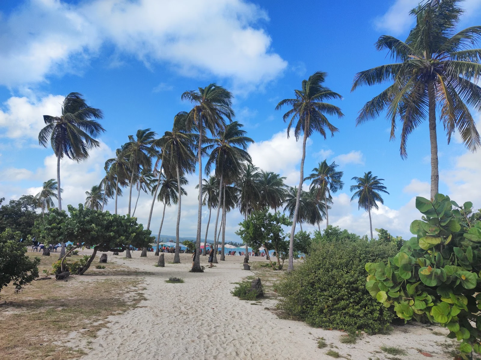 🌴 Escape a Punta Varadero Full Day desde Caracas con Lancha y Playa Tranquila