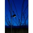 Bubka Davide Groppi Outdoor Lamp