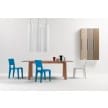 cappellini mrb chair 2