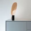 Serena Flos Table Lamp