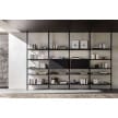 Molteni Hector Bookcase