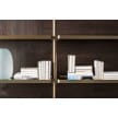 Molteni Hector Bookcase