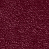 B666 Bordo