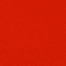 13X250 Vermiglio Olandese