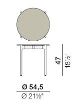 55cm