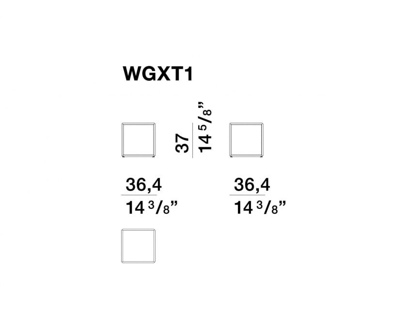 WGXT1