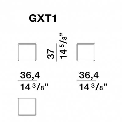 GXT1