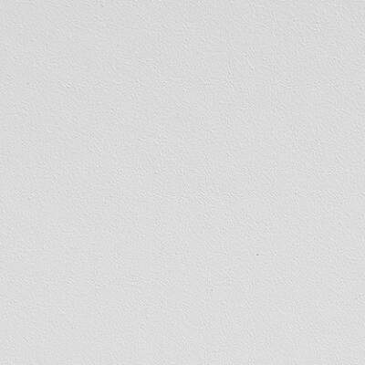 Matt Varnished White