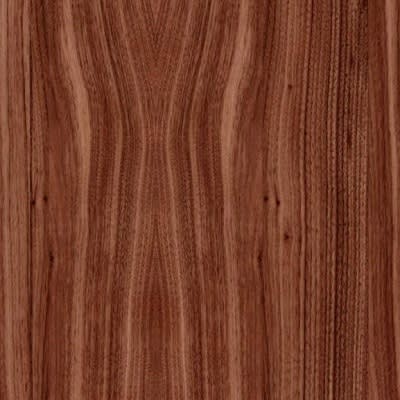 American walnut 