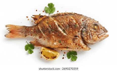 Fish Only