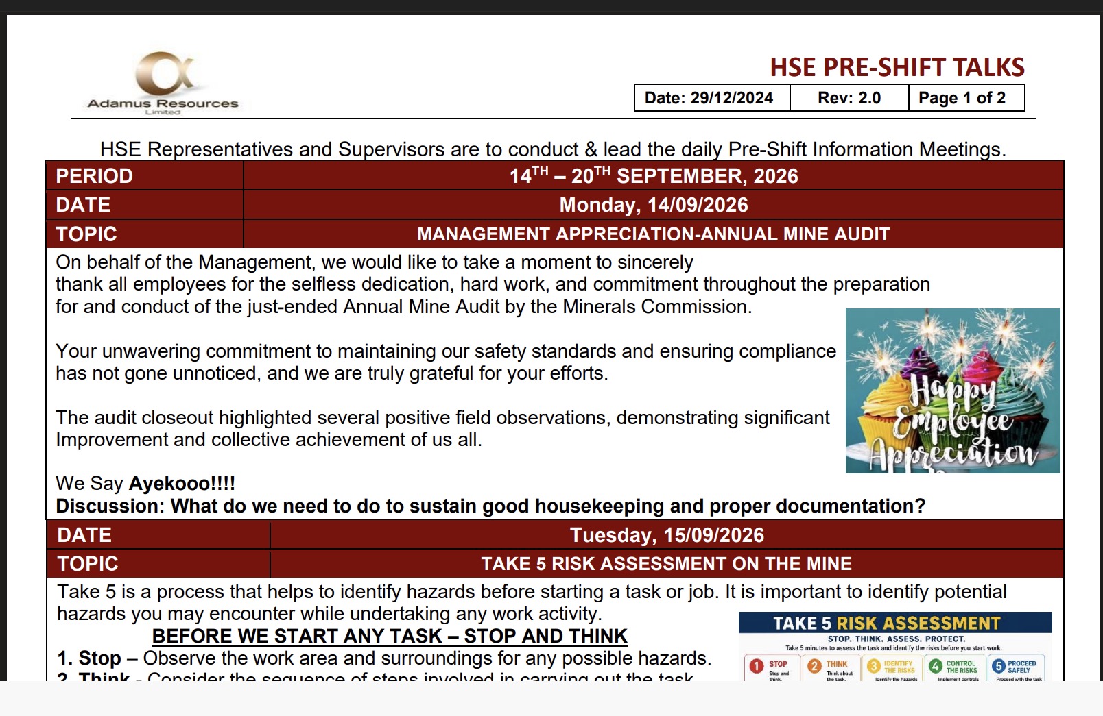 Annual Mine Audit
